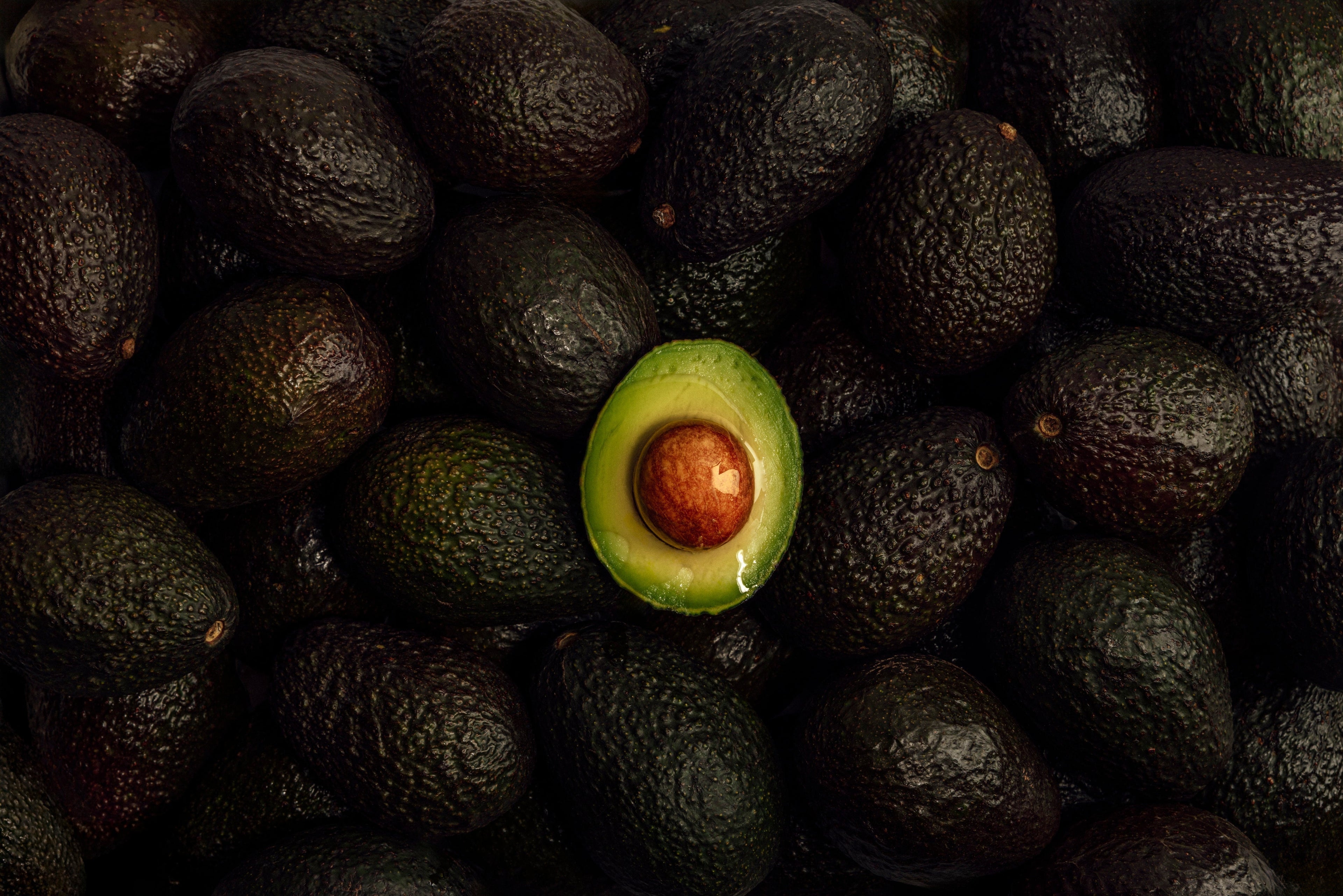 Avocado Oil 101